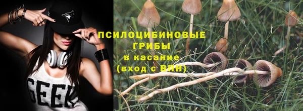 a pvp Алексин